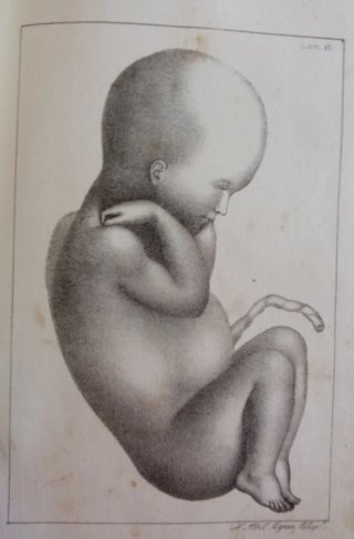 Curso completo de partos. 1834