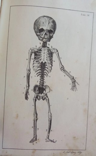 Curso completo de partos. 1834