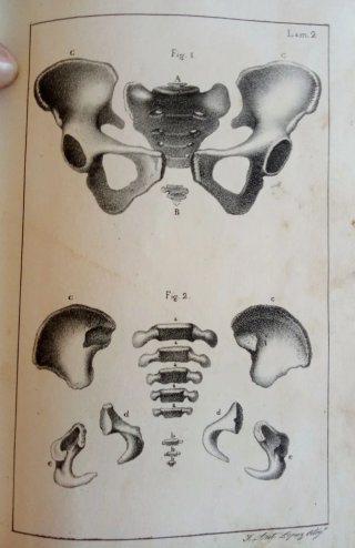 Curso completo de partos. 1834