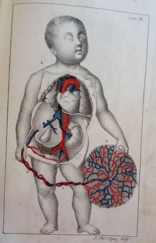 Curso completo de partos. 1834