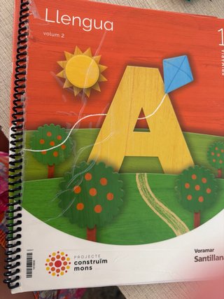 Lectoescriptura llengua, 1 Primària, Projecte c...