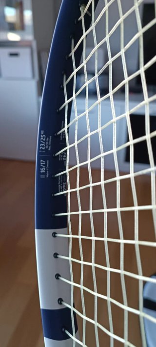 Raqueta Babolat Evo Drive 115 encordada