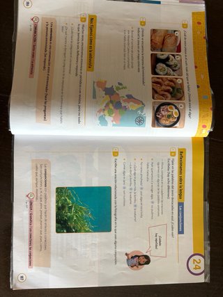 Lengua 4 Primaria