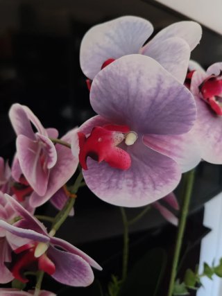 Orchidea artificiale con vaso in ceramica