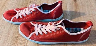 Zapatillas de Springfield