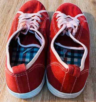 Zapatillas de Springfield