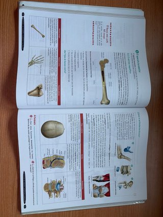 Biología y Geología 3º ESO. Libro del estudiant...