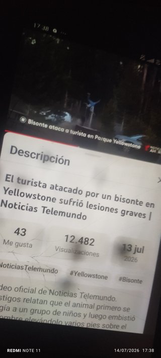 Juego custom