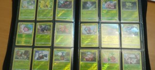 Cartas Pokemon