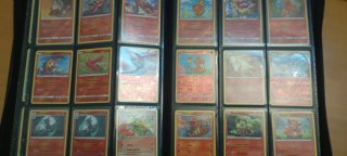 Cartas Pokemon