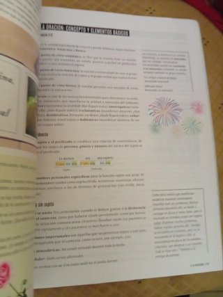 Lengua castellana y literatura 2 Secundaria