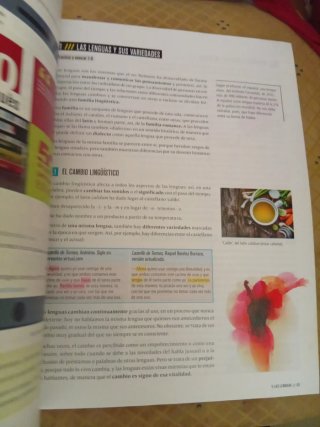 Lengua castellana y literatura 2 Secundaria