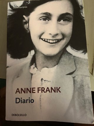Lote de 4 libros Gulliver,Anne Frank,Alonso y Sanc