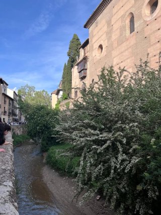 Clases particulares online y a domicilio, Granada