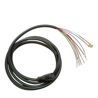 Pantalla EY4 Dualtron con acelerador