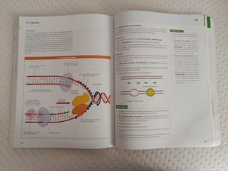 Libro Bioloxía 2 Bachillerato ANAYA