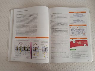 Libro Bioloxía 2 Bachillerato ANAYA