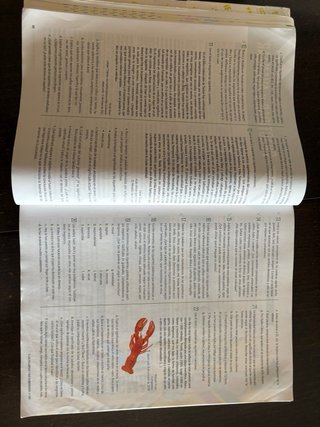 Lengua castellana y literatura 1 Bachillerato