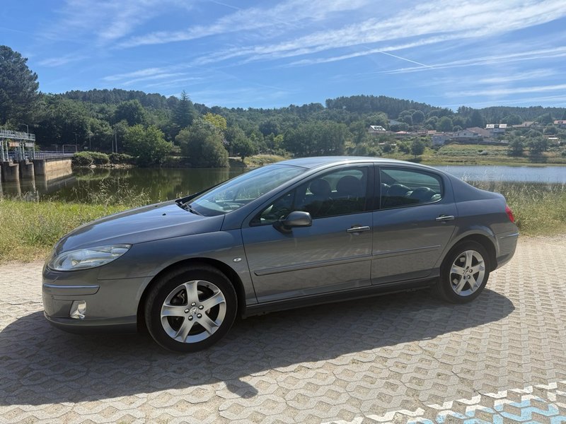 Peugeot 407 2009 2.0 Hdi - foto 1