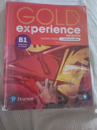 Gold Experience 2nd Edition B1 Workbook