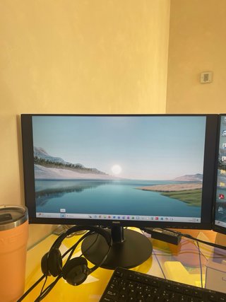 2 Monitor Philips 241V da 24 pollici