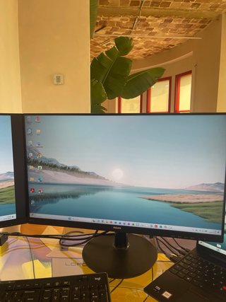 2 Monitor Philips 241V da 24 pollici