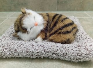 Gato realista durmiendo en su camita (NUEVO)