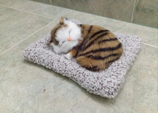 Gato realista durmiendo en su camita (NUEVO)