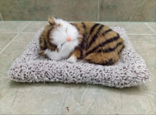 Gato realista durmiendo en su camita (NUEVO)