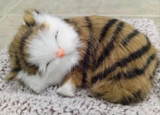 Gato realista durmiendo en su camita (NUEVO)