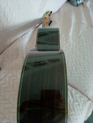 Guitarra Camps Maciza Amplificada