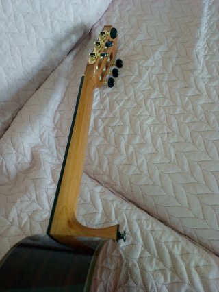 Guitarra Camps Maciza Amplificada