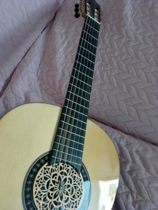 Guitarra Camps Maciza Amplificada