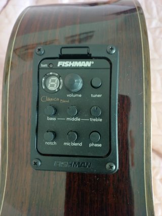 Guitarra Camps Maciza Amplificada