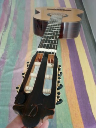 Guitarra Camps Maciza Amplificada