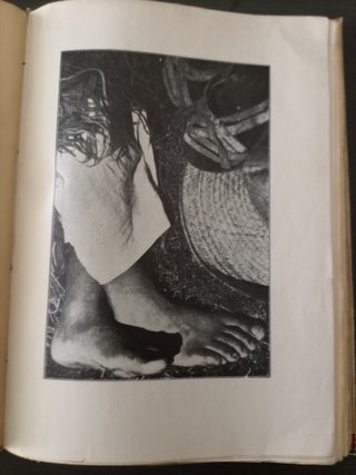 Libro Histórico: Emiliano Zapata Biografía (1934)