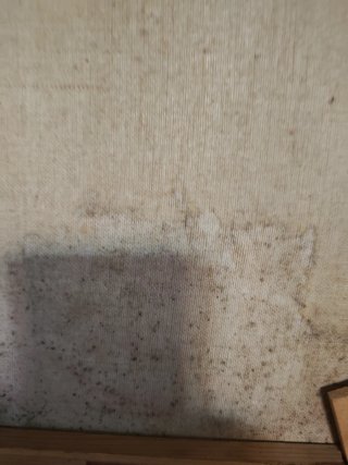 Óleo antiguo firmado