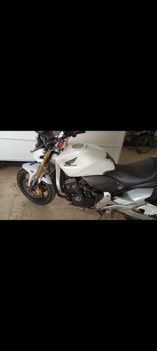 Honda Hornet 600