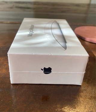 Apple Magic Mouse con cable Lightning
