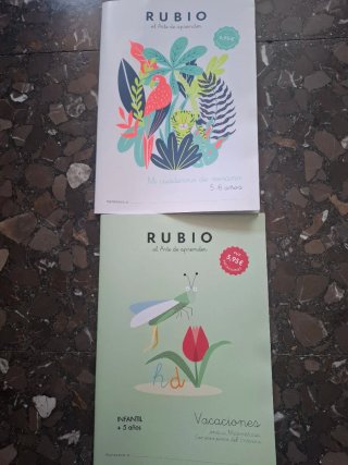 Rubio el arte de aprender, 3o Infantil vacacion...