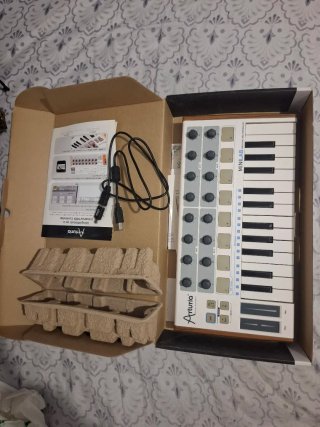 Controlador MIDI Arturia MiniLab (25 teclas) +Caja