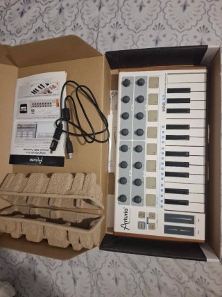 Controlador MIDI Arturia MiniLab (25 teclas) +Caja