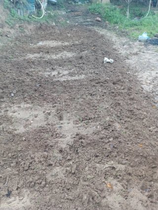Huerto listo para plantar En badia del valles .