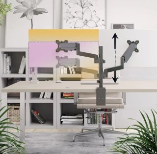 Supporto Doppio Monitor