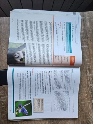 Cambridge Global English Learner's Book 9 with ...