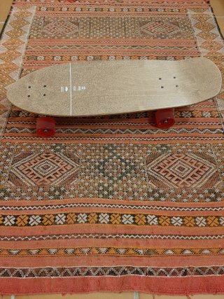 Skate Globe Offshore Onshore