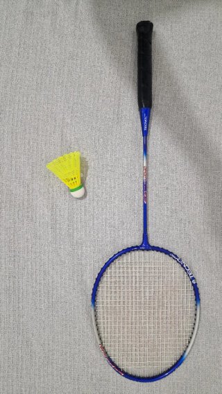 Raqueta bádminton profesional + volante