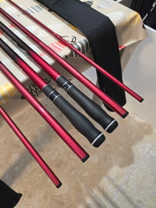CAÑAS DAIWA TOURNAMENT CASTER II 33-425H
