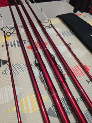CAÑAS DAIWA TOURNAMENT CASTER II 33-425H
