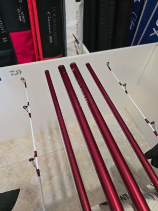 CAÑAS DAIWA TOURNAMENT CASTER II 33-425H